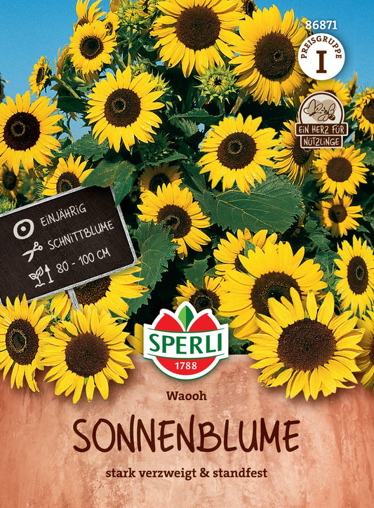  Sonnenblume Waooh [MHD 01/2025]