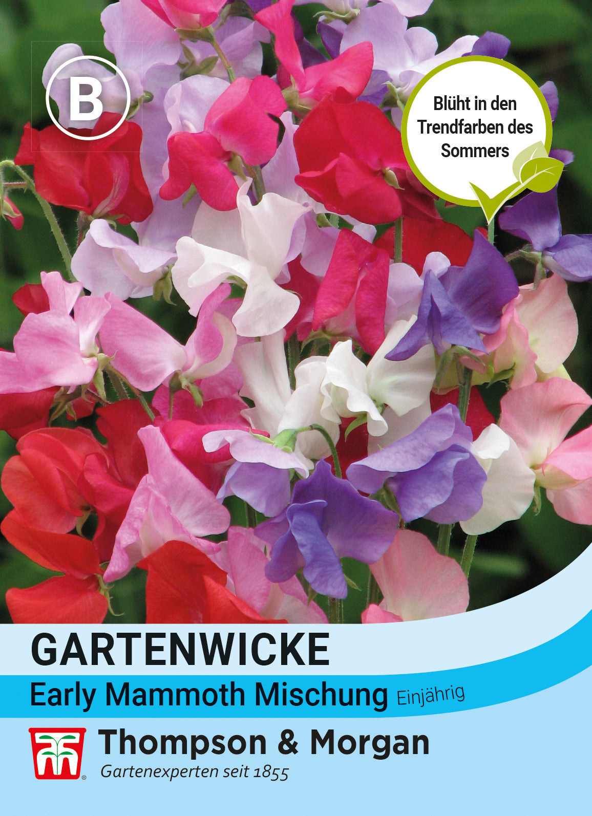  Gartenwicke Early Mammoth Mischung