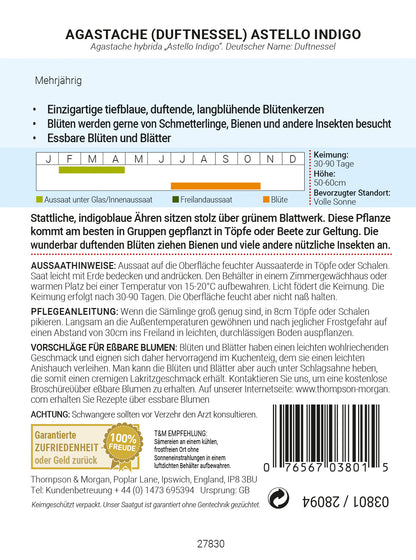  Duftnessel Astello Indigo