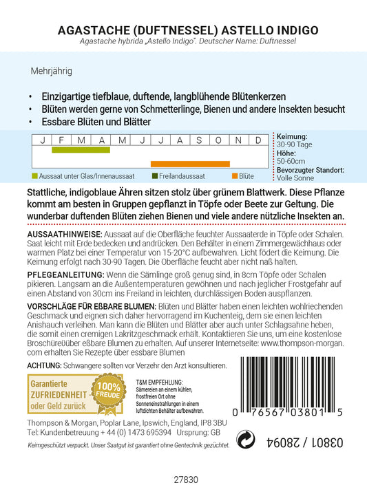  Duftnessel Astello Indigo