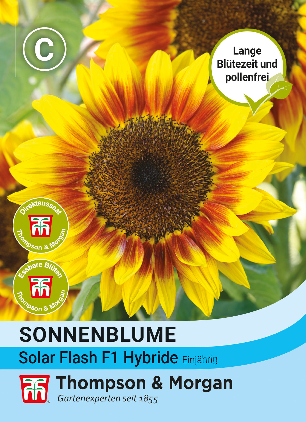  Sonnenblume Solar Flash F1-Hybride [MHD 12/2025]