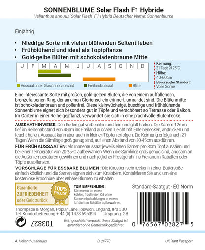  Sonnenblume Solar Flash F1-Hybride [MHD 12/2025]