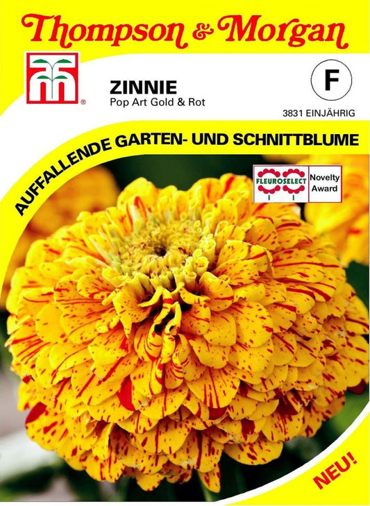  Zinnie Pop Art Gold & Rot