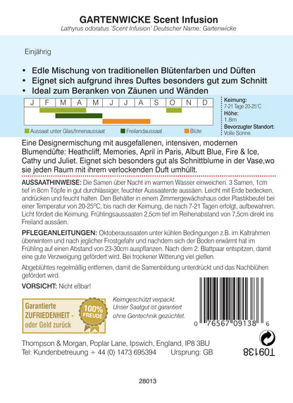  Gartenwicke Scent Infusion