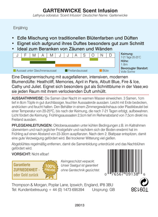  Gartenwicke Scent Infusion