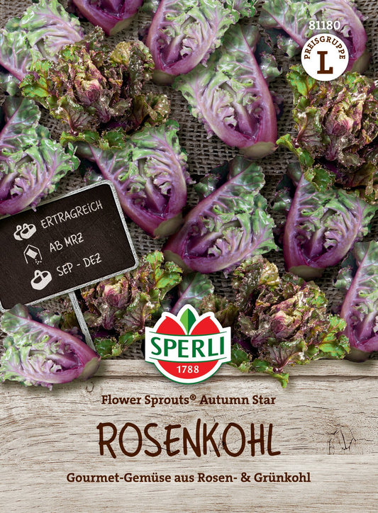  Rosenkohl Flower Sprouts Autumn Star F1