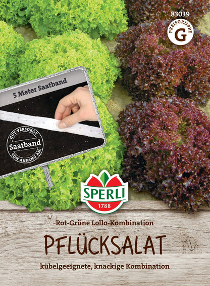  Salat Rot-Grüner Lollo-Mix (Saatband)