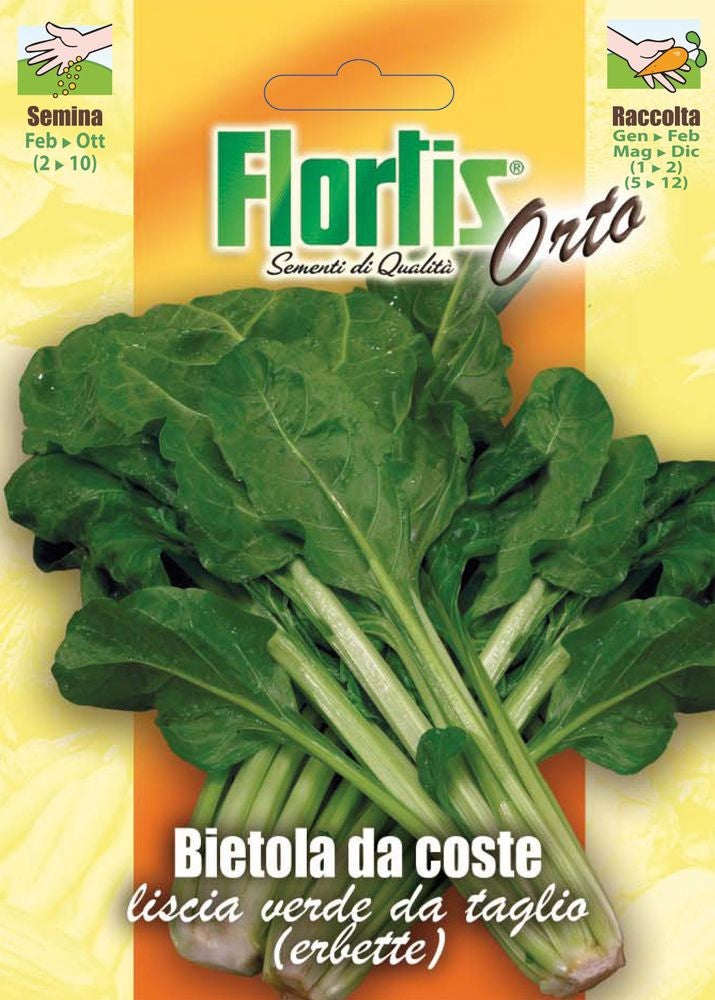  Mangold Erbette [MHD 12/2025]