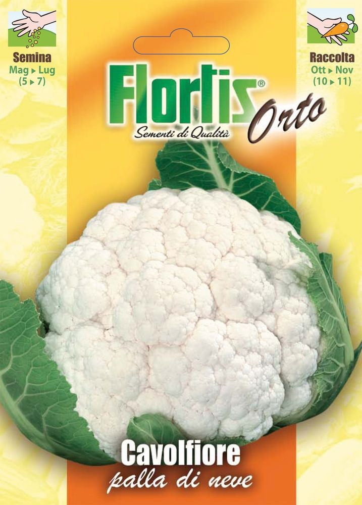 Blumenkohl Palla De Neve