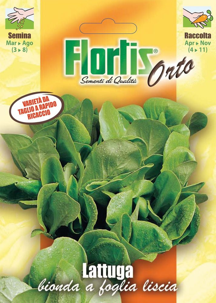  Gelber Schnittsalat Bionda Foglia Liscia [MHD 12/2025]