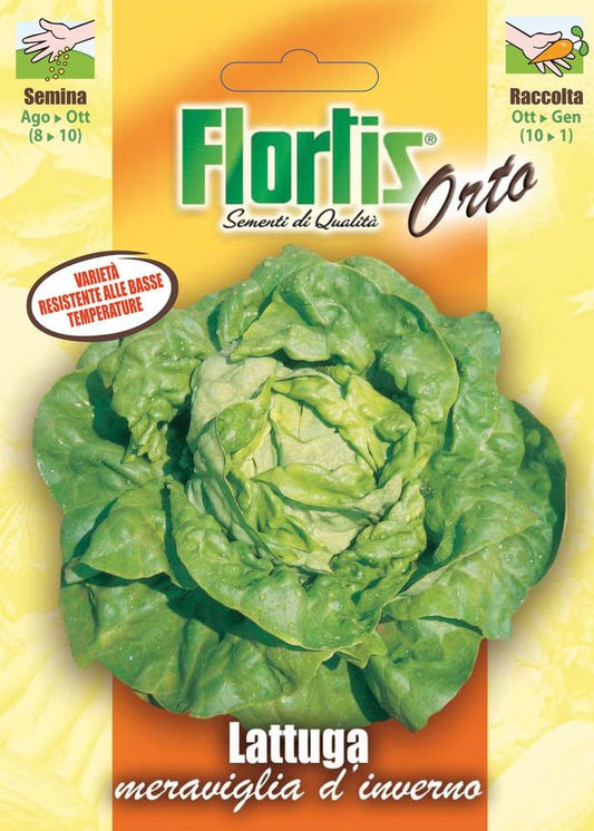  Kopfsalat Meraviglia DInverno [MHD 12/2025]