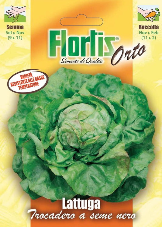  Kopfsalat Trocadero [MHD 12/2025]