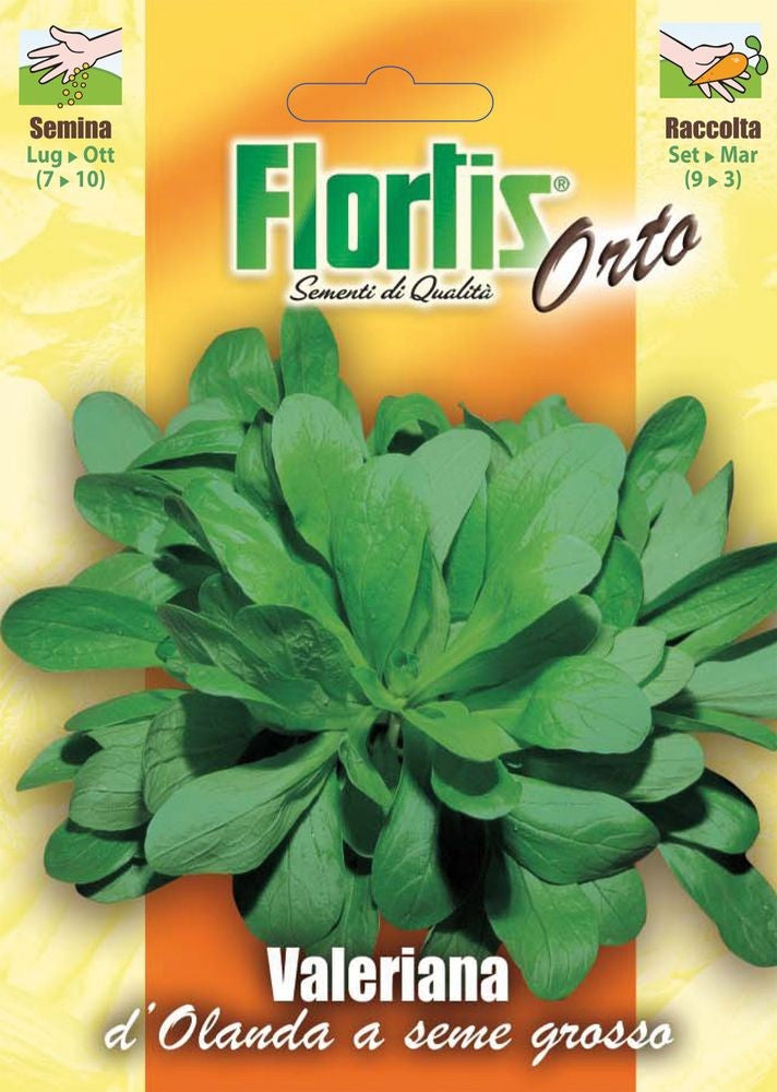  Holländischer Gewöhnlicher Feldsalat [MHD 12/2025]