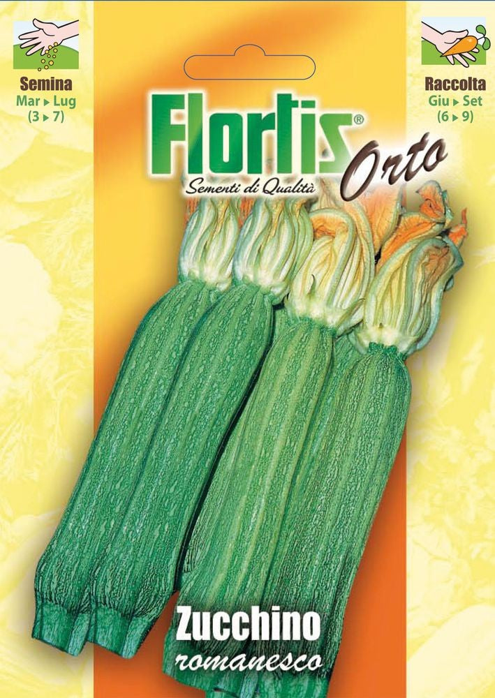  Zucchini Romanesco