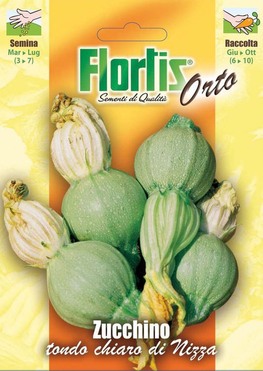  Zucchini Tondo Chiaro Di Nizza