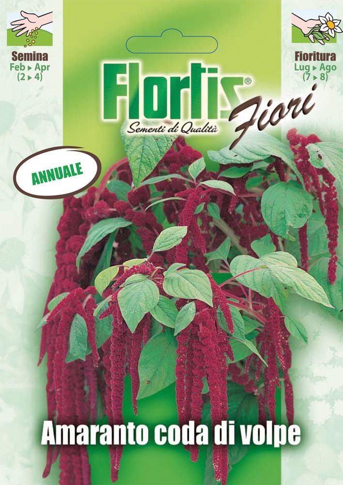  Garten-Fuchsschwanz