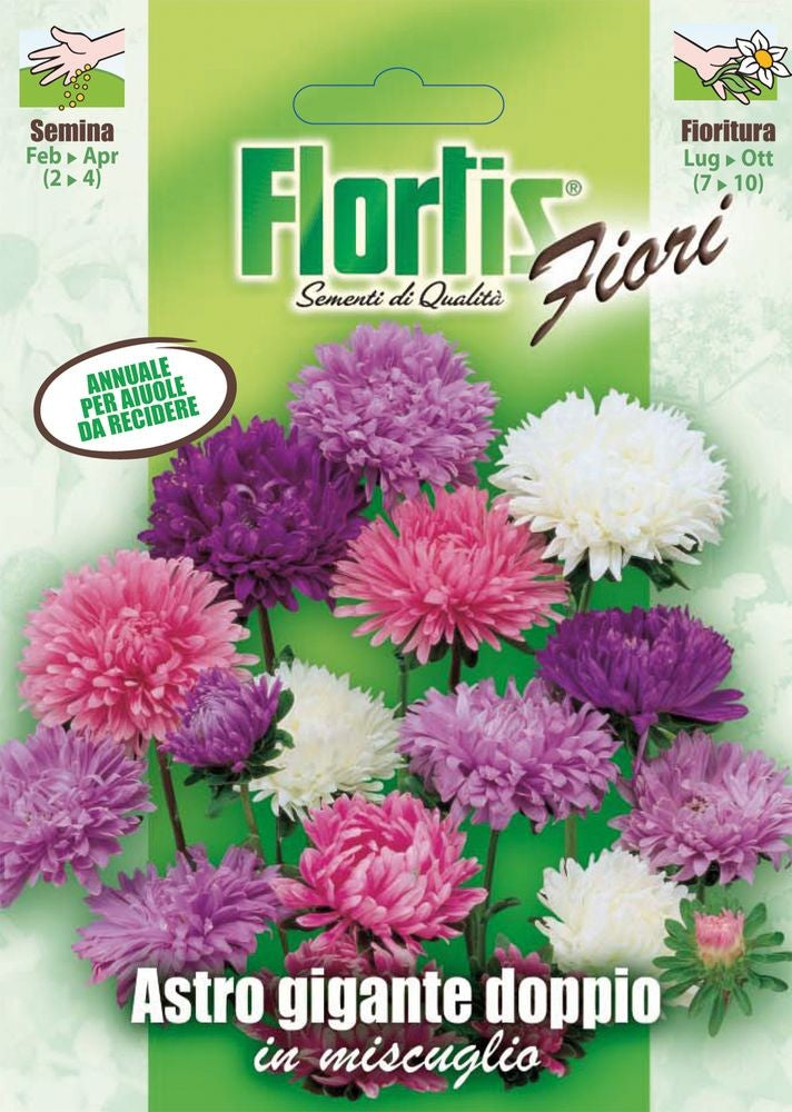  Doppelte Aster California Mischung [MHD 12/2025]