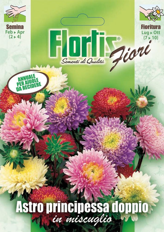  Doppelte Aster Prinzess Mischung