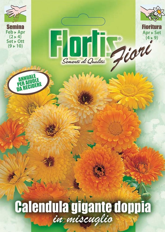  Doppelte Riesenringelblume Mischung