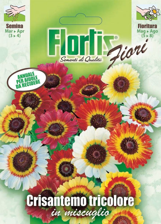  Bunte Sommermargeritemischung [MHD 12/2025]