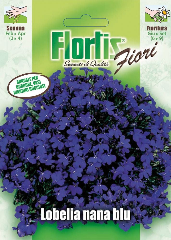  Männertreu Blaue Lobelie