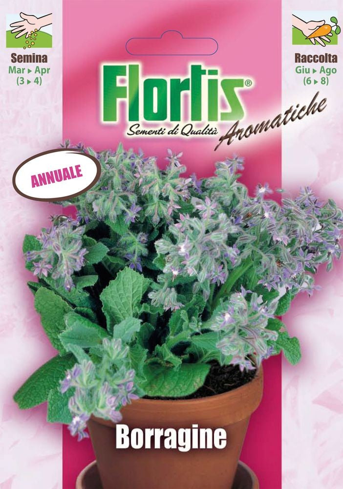  Borretsch