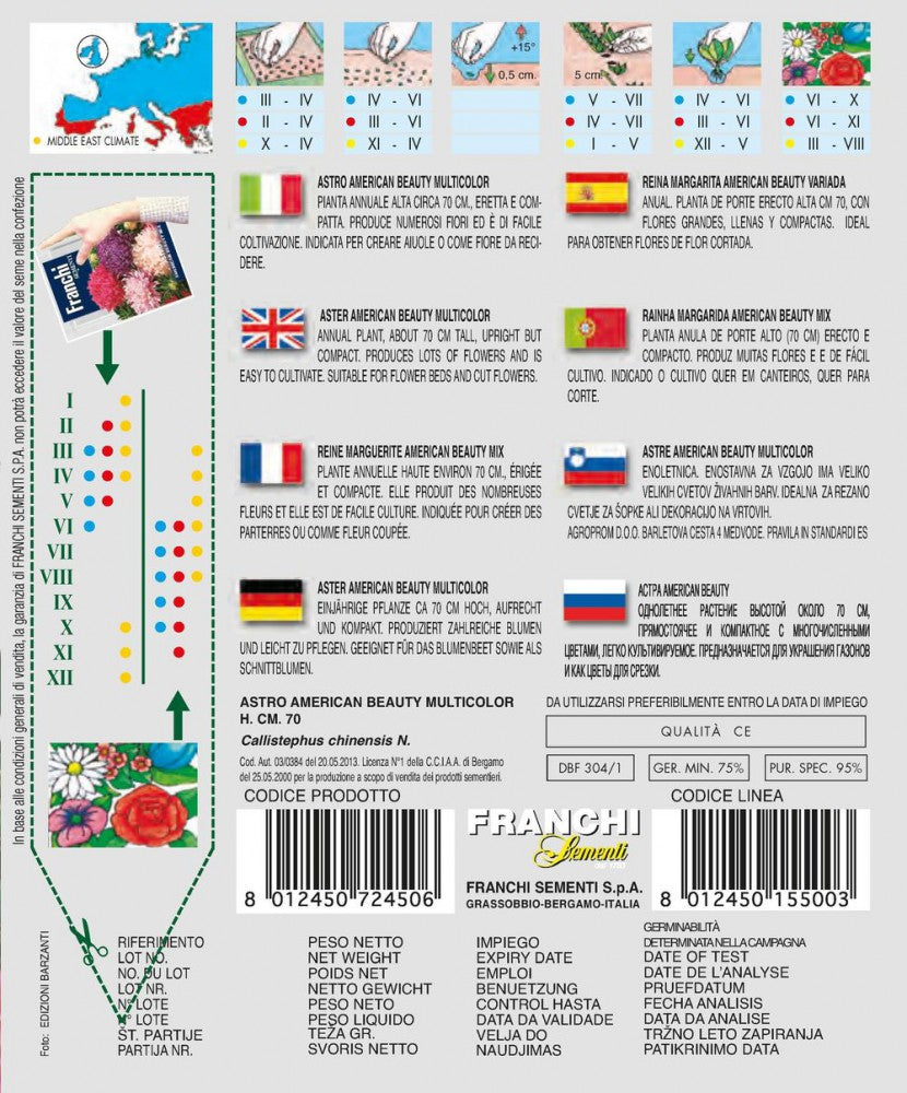  Aster American Beauty Multicolor