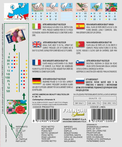  Aster American Beauty Multicolor