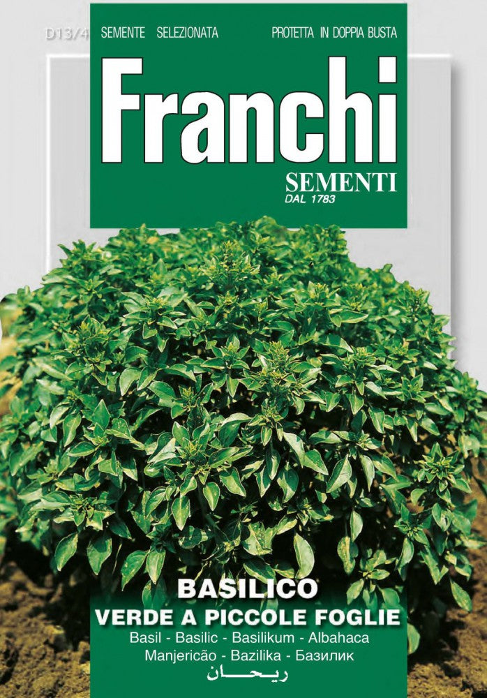  Basilikum Verde A Piccole Foglie