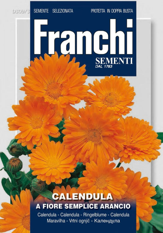  Ringelblume A Fiore Semplice Arancio