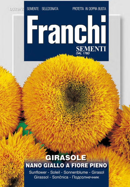 Sonnenblume Nano Giallo A Fiore Pieno