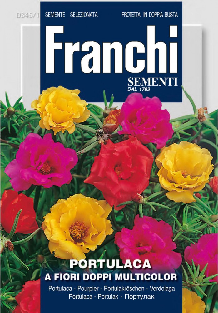  Portulakröschen A Fiori Doppi Mehrfarbig