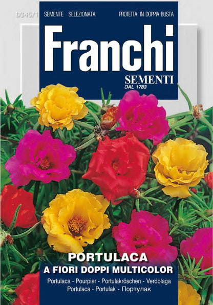  Portulakröschen A Fiori Doppi Mehrfarbig