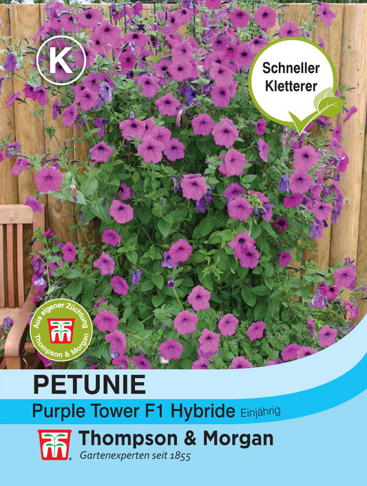  Petunie Purple Tower F1 Hybride