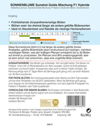  Sonnenblume Sunshot Golds Mischung F1 Hybride