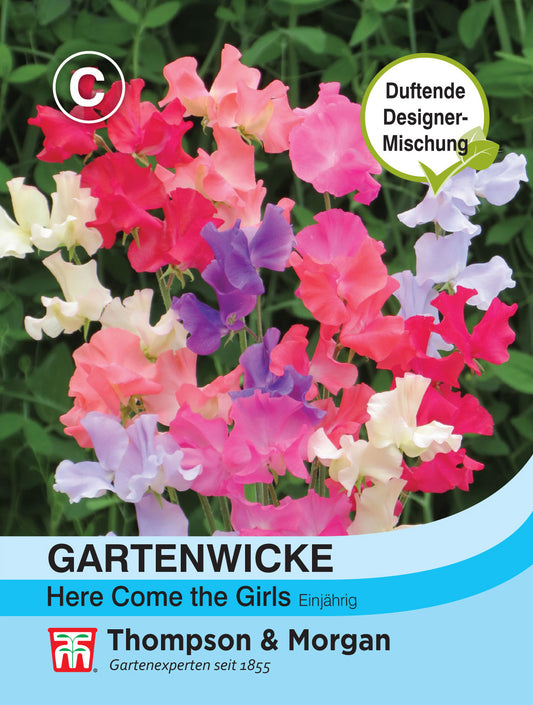  Gartenwicke Here Comes The Girls