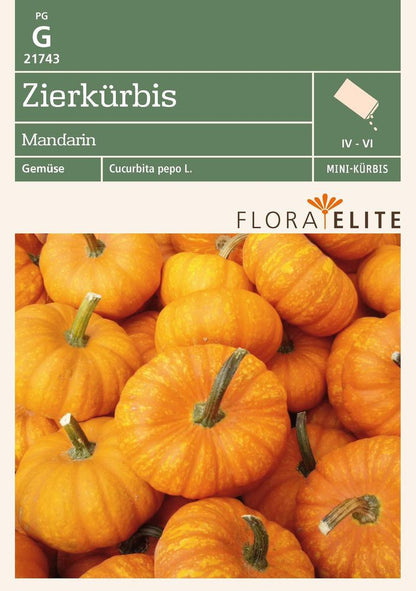  Zierkürbis Mandarin
