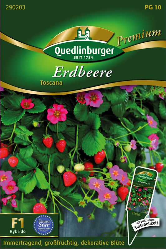  Erdbeere Toscana