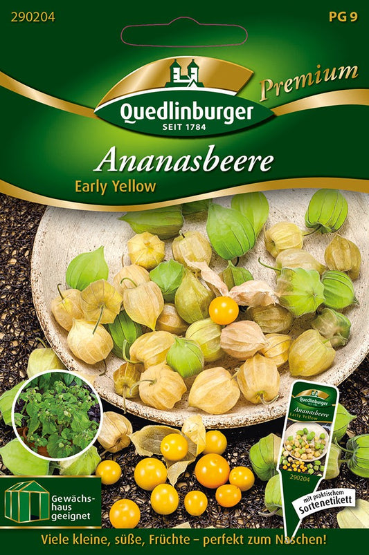  Ananasbeere Early Yellow