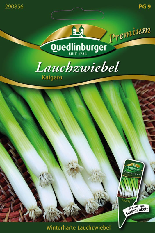  Lauchzwiebeln Kaigaro
