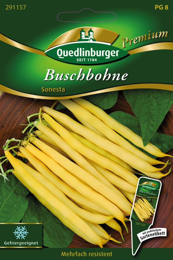  Buschbohnen Sonesta