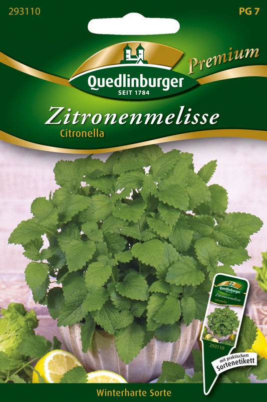  Zitronenmelisse Citronella