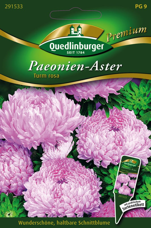  Paeonien-Astern Turm Rosa Von Quedlinburger Saatgut