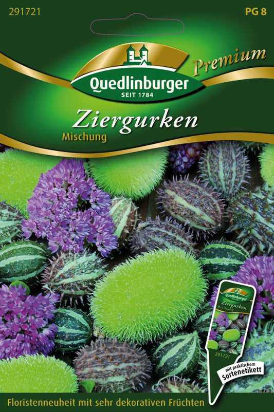  Ziergurken Mischung
