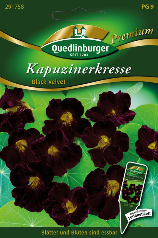  Kapuzinerkresse Black Velvet