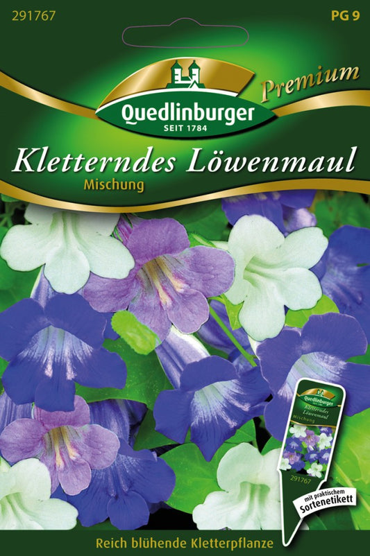  Kletterndes Löwenmaul