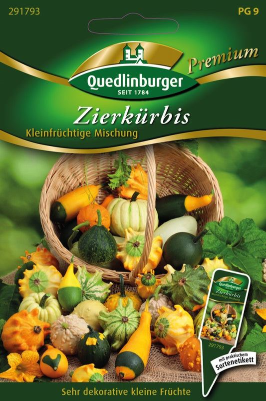  Zierkürbis Kleinfrüchtige Mischung