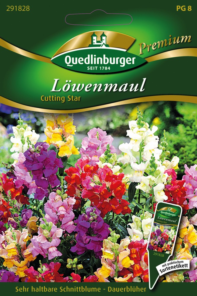  Löwenmaul Cutting Star