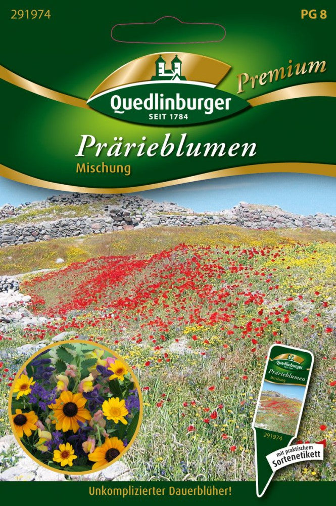  Prärieblumen Mischung