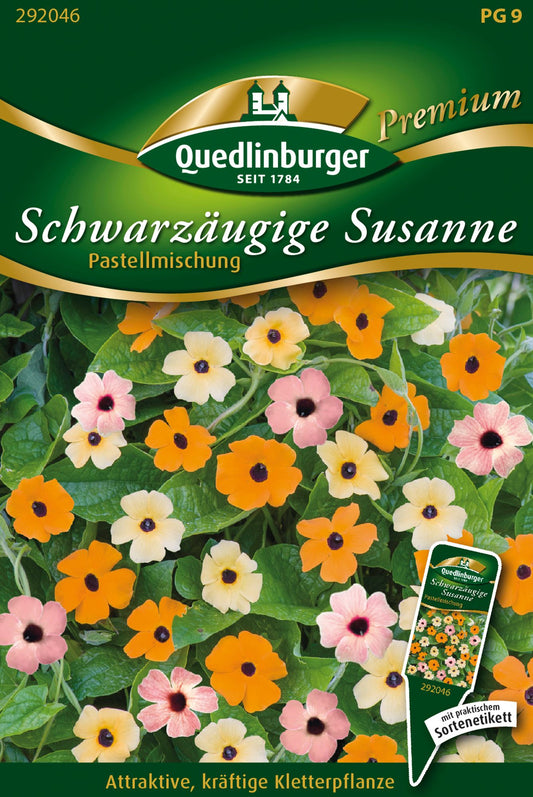  Schwarzäugige Susanne Pastellmischung